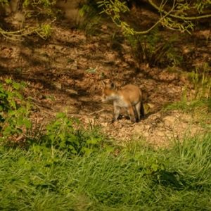 Untitled (245 Of 323).jpg